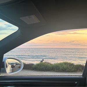 Meet your Posher, Izzy